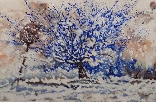 L'arbre de Samir n° 2
